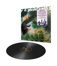 Load image into Gallery viewer, Pink Floyd - A Saucerful Of Secrets (Mono Vinyl)