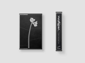 Trentemøller - Dreamweaver