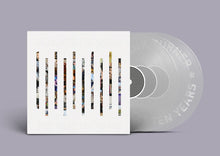 Load image into Gallery viewer, Frank Turner - The Next 10 Years
