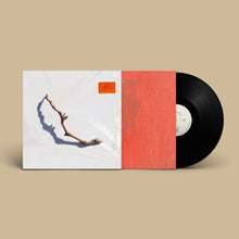 Load image into Gallery viewer, PJ Harvey - I Inside the Old Year Dying
