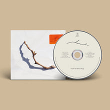 Load image into Gallery viewer, PJ Harvey - I Inside the Old Year Dying
