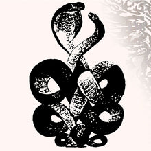 Load image into Gallery viewer, Bardo Pond  Volume 4 &amp; 5
