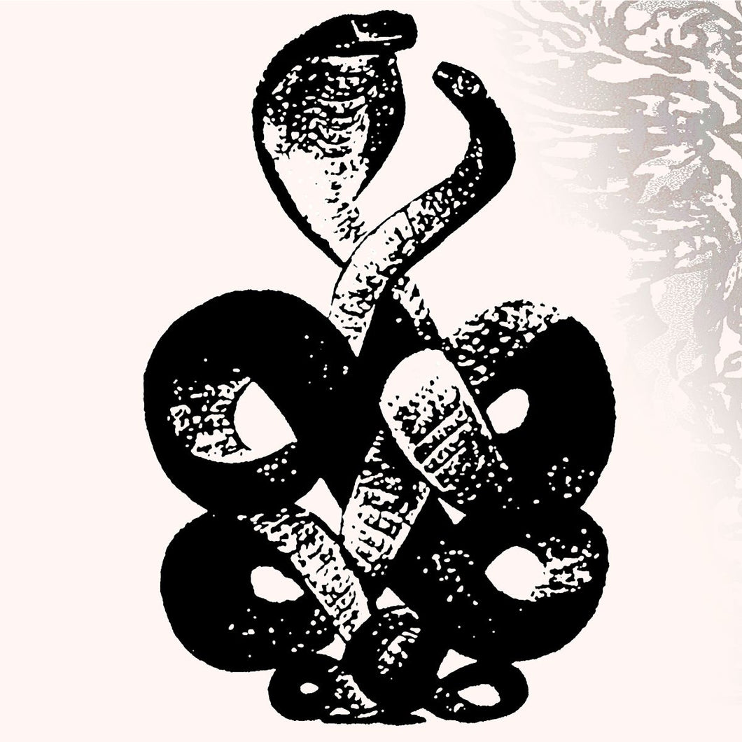 Bardo Pond  Volume 4 & 5