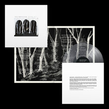 Load image into Gallery viewer, These New Puritans - Crooked Wing
