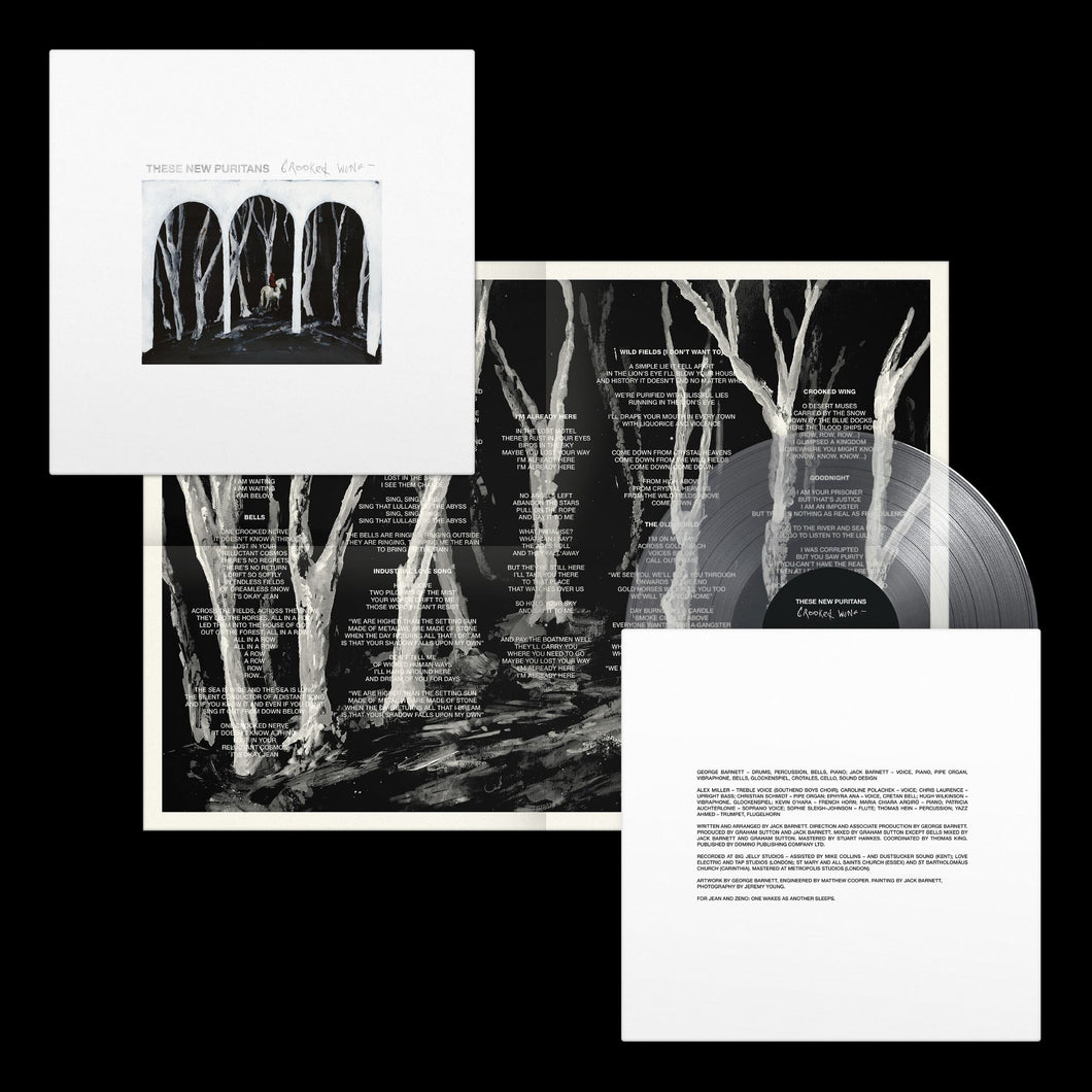 These New Puritans - Crooked Wing