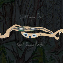 Load image into Gallery viewer, Animal Collective - Spirit They&#39;re Gone, Spirit They&#39;ve Vanished
