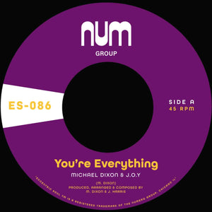 Michael A. Dixon & J.O.Y.  - You’re Everything / You’re All I Need