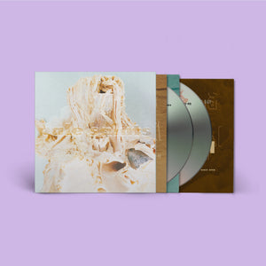 Pale Saints - In Ribbons (Expanded 30th Anniversary Reissue)