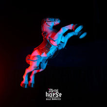 Load image into Gallery viewer, Billy Nomates - Metalhorse

