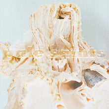 Load image into Gallery viewer, Pale Saints - In Ribbons (Expanded 30th Anniversary Reissue)
