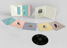 Load image into Gallery viewer, Bert Jansch – Avocet
