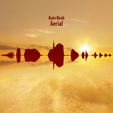 Load image into Gallery viewer, Kate Bush - Aerial (2018 Remaster)
