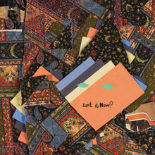 Load image into Gallery viewer, Animal Collective - Isn&#39;t It Now?
