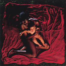 Load image into Gallery viewer, Afghan Whigs - Congregation
