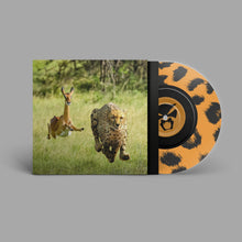 Load image into Gallery viewer, Thundercat &amp; Tame Impala - No More Lies
