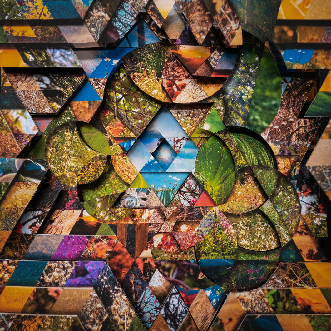 Miguel Atwood-Ferguson - Les Jardins Mystiques Vol.1 x 300