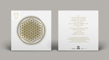 Load image into Gallery viewer, Bring Me The Horizon - Sempiternal (10th Anniversary)
