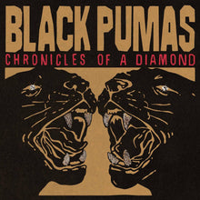 Load image into Gallery viewer, Black Pumas - Chronicles of a Diamond

