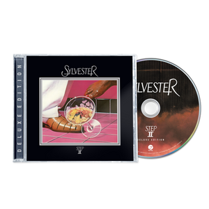 Sylvester - Step II