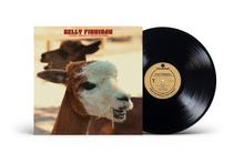 Load image into Gallery viewer, Kelly Finnigan - B-Sides, Singles &amp; Forgotten Gems
