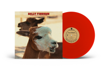 Load image into Gallery viewer, Kelly Finnigan - B-Sides, Singles &amp; Forgotten Gems

