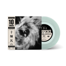 Load image into Gallery viewer, Raekwon - 10 Bricks (feat. Ghostface Killah &amp; Cappadonna)
