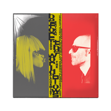 Load image into Gallery viewer, Erykah Badu &amp; The Alchemist - Before the World Blows
