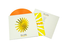 Load image into Gallery viewer, The Chills - Sunburnt
