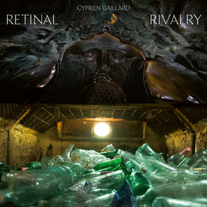 Cyprien Gaillard - Retinal Rivalry