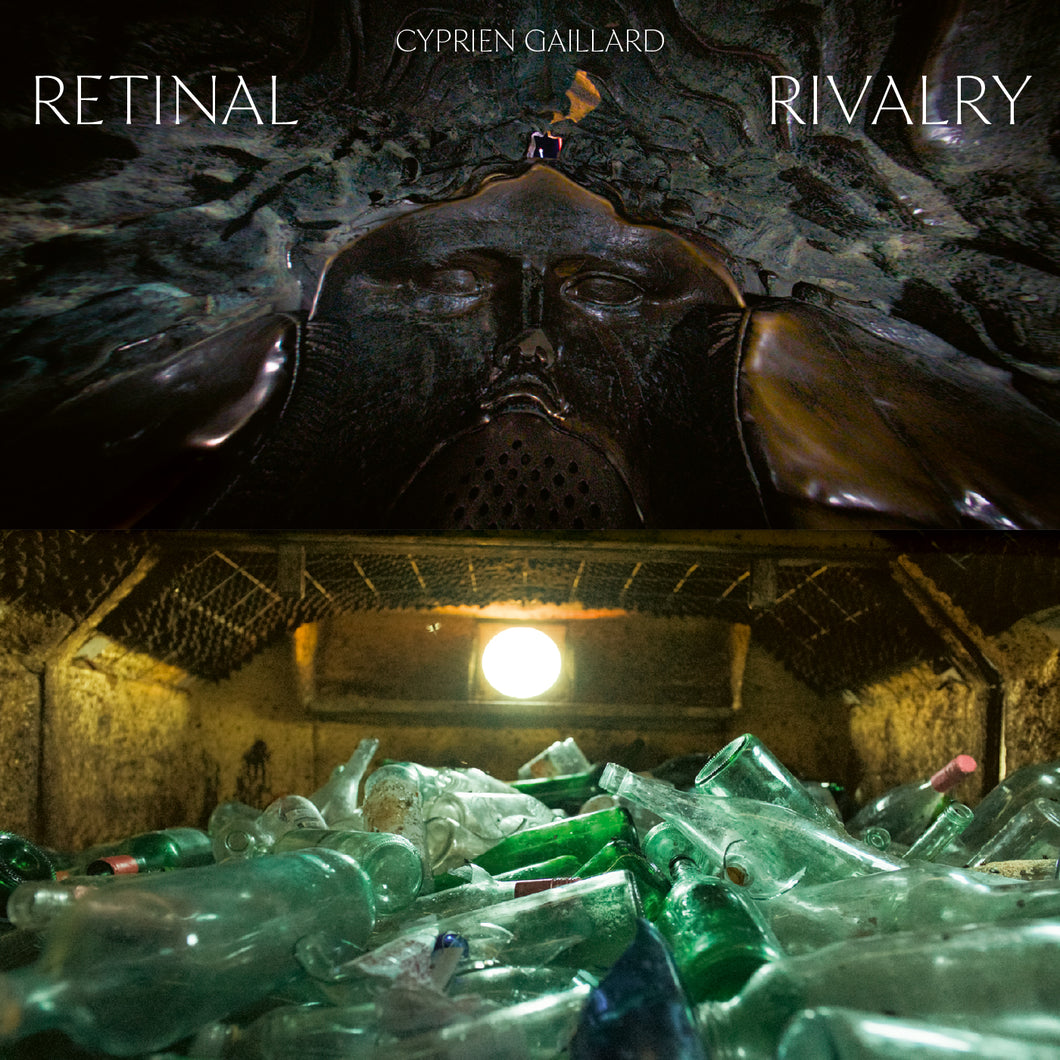 Cyprien Gaillard - Retinal Rivalry
