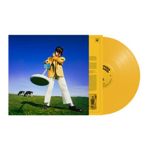 Declan McKenna - What Happened To The Beach?