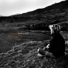 Load image into Gallery viewer, David Sylvian &amp; Jon Hassell - Alchemy: An Index Of Possibilities
