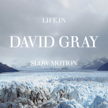 Load image into Gallery viewer, David Gray - Life in Slow Motion (20th Anniversary Edition)
