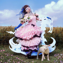 Load image into Gallery viewer, Jazmin Bean - Traumatic Livelihood
