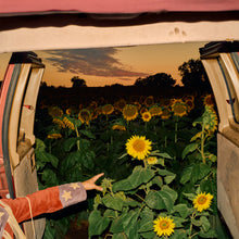 Load image into Gallery viewer, Kevin Morby - Little Wide Open
