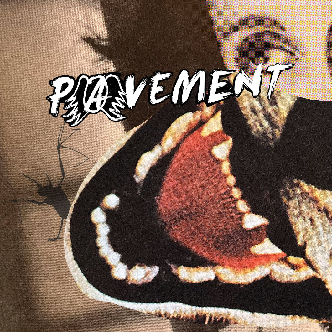 Pavement - Hecklers Choice: Big Gums and Heavy Lifters: A Pavement Collection