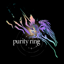 Load image into Gallery viewer, Purity Ring - Purity Ring

