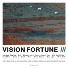 Load image into Gallery viewer, Vision Fortune - III
