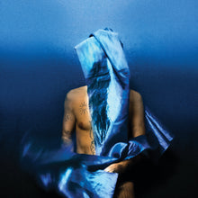 Load image into Gallery viewer, Devendra Banhart - Flying Wig
