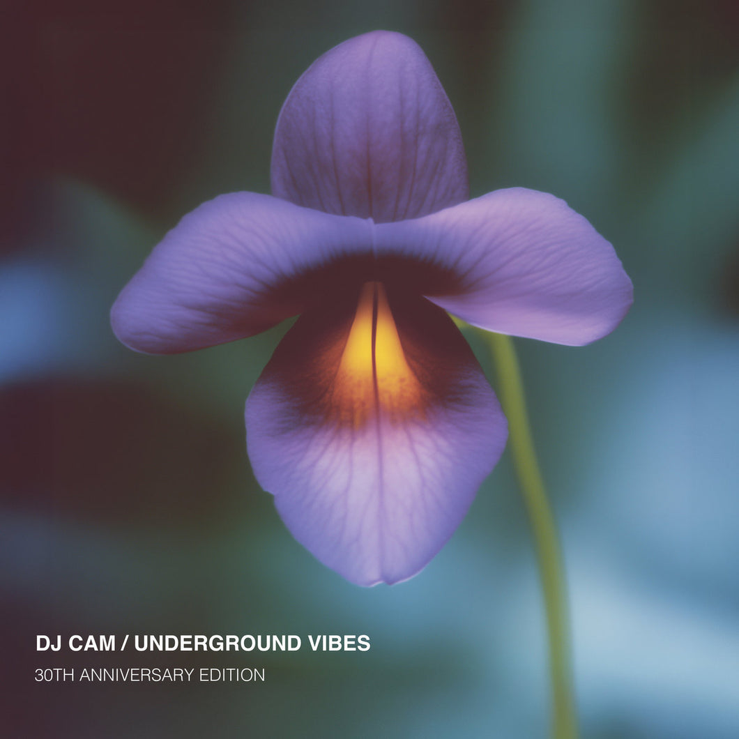 DJ Cam - Underground Vibes (30th Anniversary Edition)