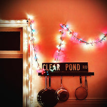Load image into Gallery viewer, Kristin Hersh - Clear Pond Road
