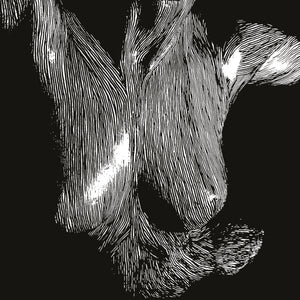 Oceansize - Self Preserved While The Bodies Float Up (15th Anniversary Edition) (National Album Day)