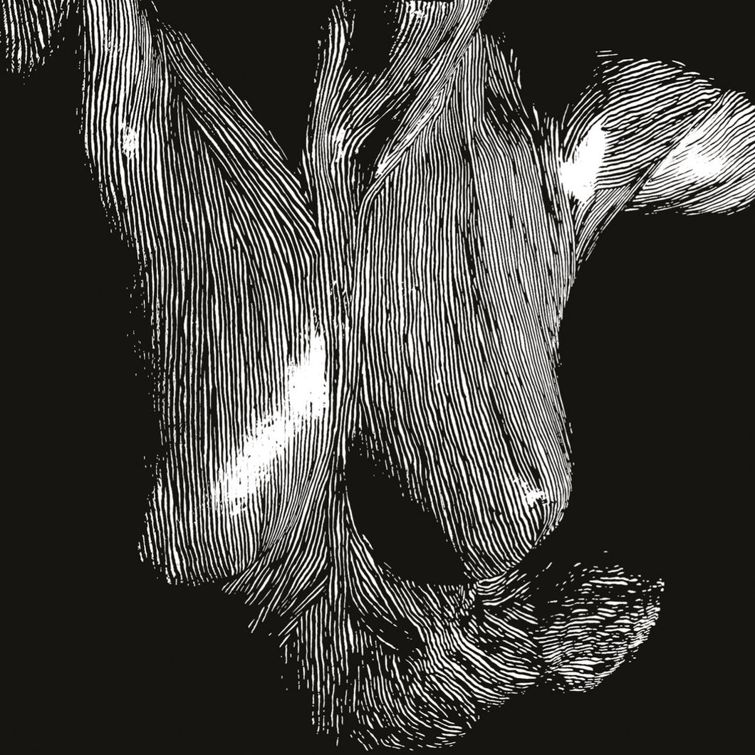 Oceansize - Self Preserved While The Bodies Float Up (15th Anniversary Edition) (National Album Day)