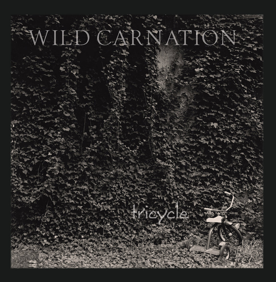 Wild Carnation - Tricycle