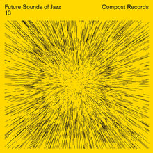 Load image into Gallery viewer, Various Artists - Future Sounds Of Jazz Vol. 13
