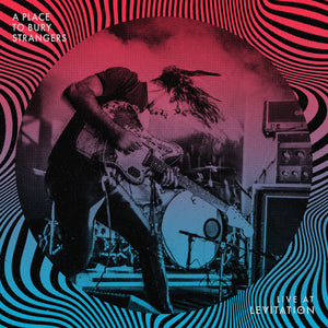 A Place to Bury Strangers - Live at Levitation