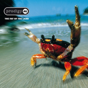 The Prodigy ‎- The Fat Of The Land