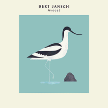Load image into Gallery viewer, Bert Jansch – Avocet
