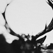 Load image into Gallery viewer, Ihsahn - Ihsahn (Orchestral Version)
