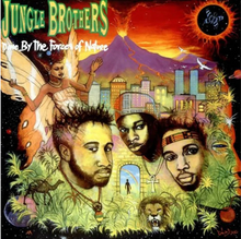 Load image into Gallery viewer, Jungle Brothers - Done By The Forces Of Nature
